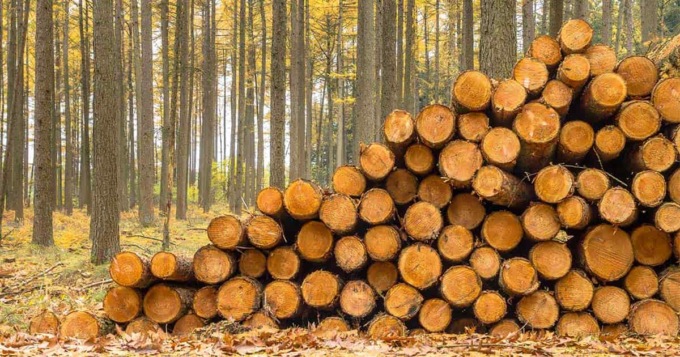 Arriva Woody: la cultura del legno, dal 27 settembre al 1° ottobre a Cuneo