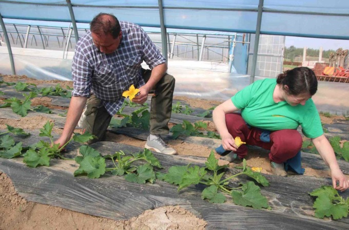 Cia Consulenze organizza corsi di formazione per chi lavora nei settori agricolo e agroalimentare