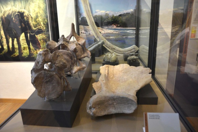 Domenica 6 novembre: visite guidate gratuite al Museo civico “F. Eusebio” e alle aree archeologiche del centro di Alba