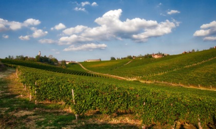 Gran finale per i racconti dei vini d'Italia nelle Enoteche Regionali del Piemonte in occasione di UNWTO 2022