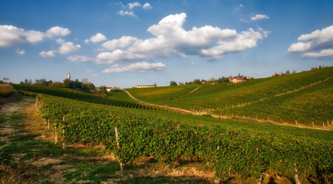 Gran finale per i racconti dei vini d’Italia nelle Enoteche Regionali del Piemonte in occasione di UNWTO 2022