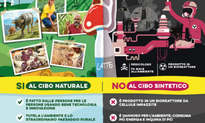 Coldiretti, salute: i pediatri italiani dicono no al cibo sintetico