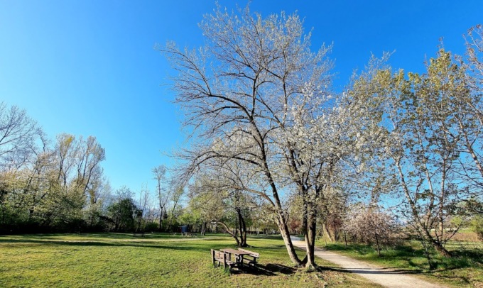Al Parco fluviale è in arrivo un inverno ricco di attività e soprese