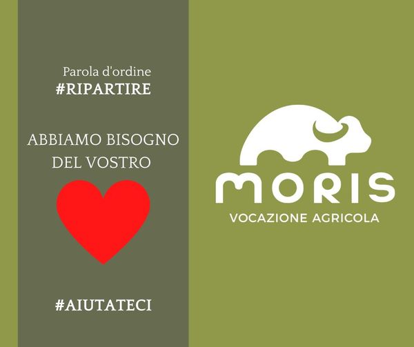 L’appello del caseificio Moris distrutto dall’incendio:”Aiutateci a ripartire”