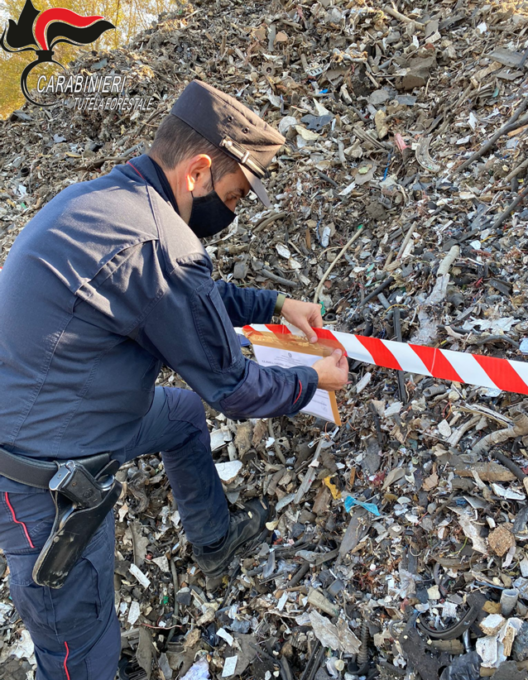 Il bilancio del 2022 dell’attività dei Carabinieri Forestali