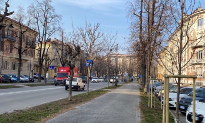 Proseguono i lavori di riqualificazione e valorizzazione di Viale degli Angeli con la posa di nuove piante