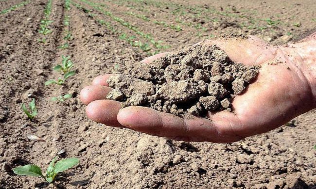 Piemonte a secco: arriva il supercommissario all’emergenza siccità