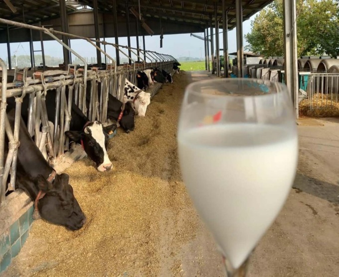 Cia Cuneo: “Settore del latte con futuro incerto, speriamo in un abbassamento dei costi di produzione”