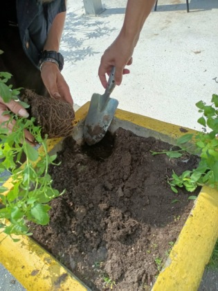 Saluzzo: c’è tempo fino a domani per le domande per gli orti urbani