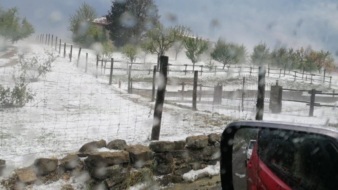 Violenta grandinata nel Cuneese: campi coltivati devastati e danni ingenti in molte località