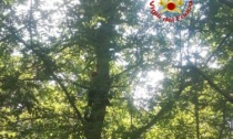 Recuperato a Roccabruna un uomo rimasto impigliato in un albero con il parapendio