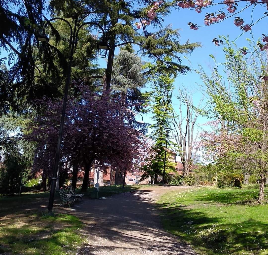 Giardini del Belvedere