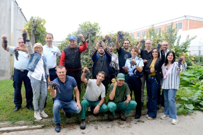 Vale la pena, raccolte 150 cassette durante la vendemmia in carcere