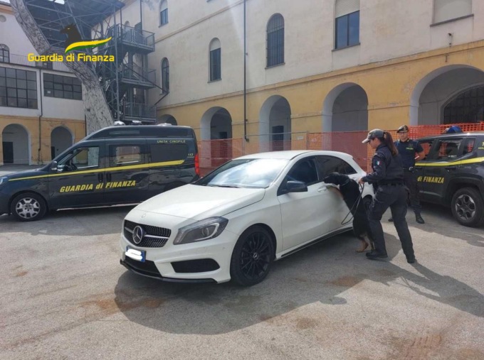 Viaggiavano con mezzo chilo di cocaina in auto ma i cani la fiutano