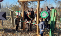 Mondovì: inaugurato il nuovo “Sentiero inclusivo del Bosco della Nova”