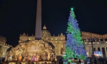 Acceso in piazza San Pietro l'albero di Natale arrivato dalla Valle Maira