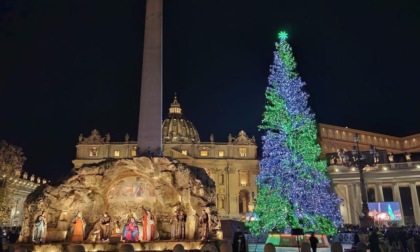Acceso in piazza San Pietro l'albero di Natale arrivato dalla Valle Maira