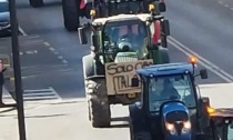 La protesta degli agricoltori, i trattori marciano su Cuneo