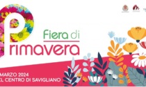 Cosa fare a Cuneo e provincia nel fine settimana: gli eventi del 16 e 17 marzo