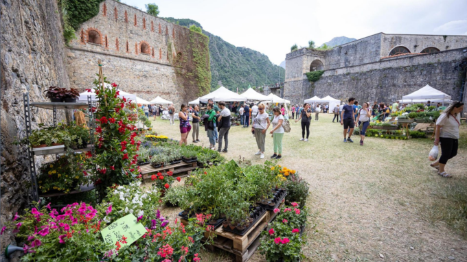 Cosa fare a Cuneo e provincia nel fine settimana: gli eventi dell’8 e 9 giugno