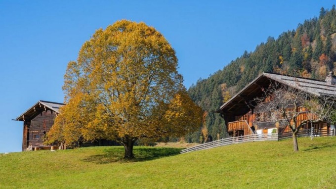 Regione Piemonte: sostegni per agriturismi e fattorie didattiche