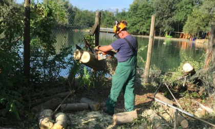 Dopo il nubifragio volontari della Protezione Civile al lavoro al Parco Fluviale