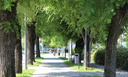 Divieto di transito e di sosta in corso Bra