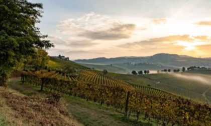 Un treno speciale dalla capitale ad Alba per portare i Gourmet nelle Terre del Tartufo