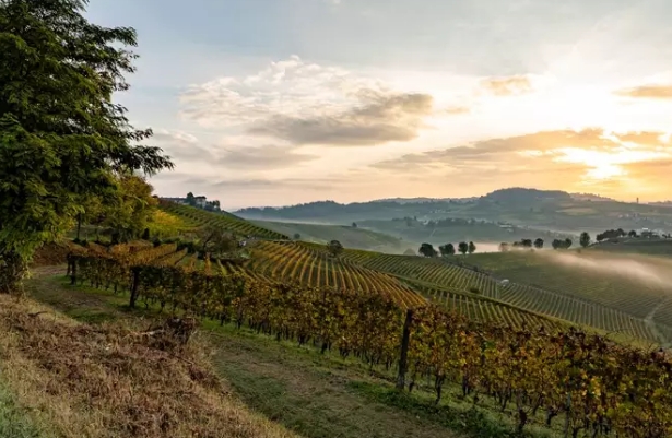 Un treno speciale dalla capitale ad Alba per portare i Gourmet nelle Terre del Tartufo