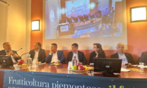 La frutticoltura piemontese protagonista dell'economia regionale, Allasia: "Settore strategico"