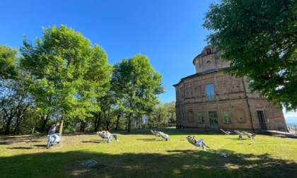 Proseguono in città le attività di manutenzione del verde urbano