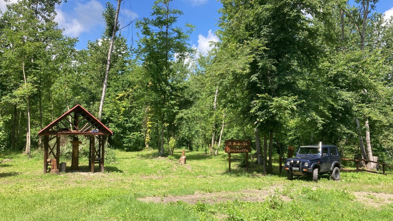 Il “Bosco di Geminella” Rinasce con gli Studenti della Forestale di Ormea