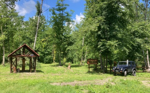 Il “Bosco di Geminella” Rinasce con gli Studenti della Forestale di Ormea