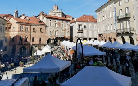 Cosa fare a Cuneo e provincia nel fine settimana: gli eventi dell’8 e 9 novembre