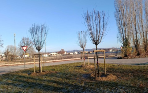 Bra avvia il programma invernale di manutenzione del verde urbano