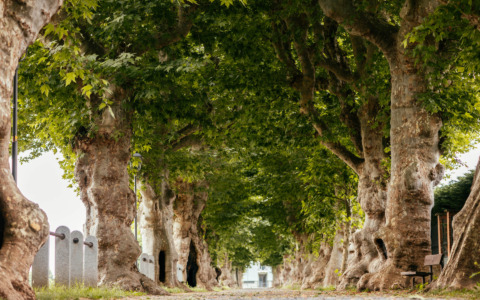 Cherasco protagonista di Green Up