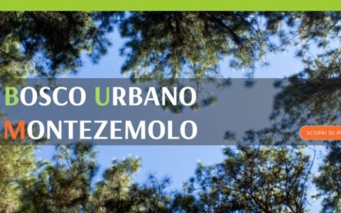 Cuneo ha scelto: nasce BUM – Bosco Urbano Montezemolo