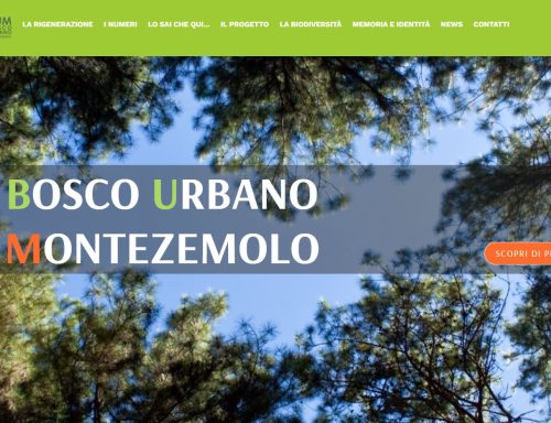 Cuneo ha scelto: nasce BUM – Bosco Urbano Montezemolo