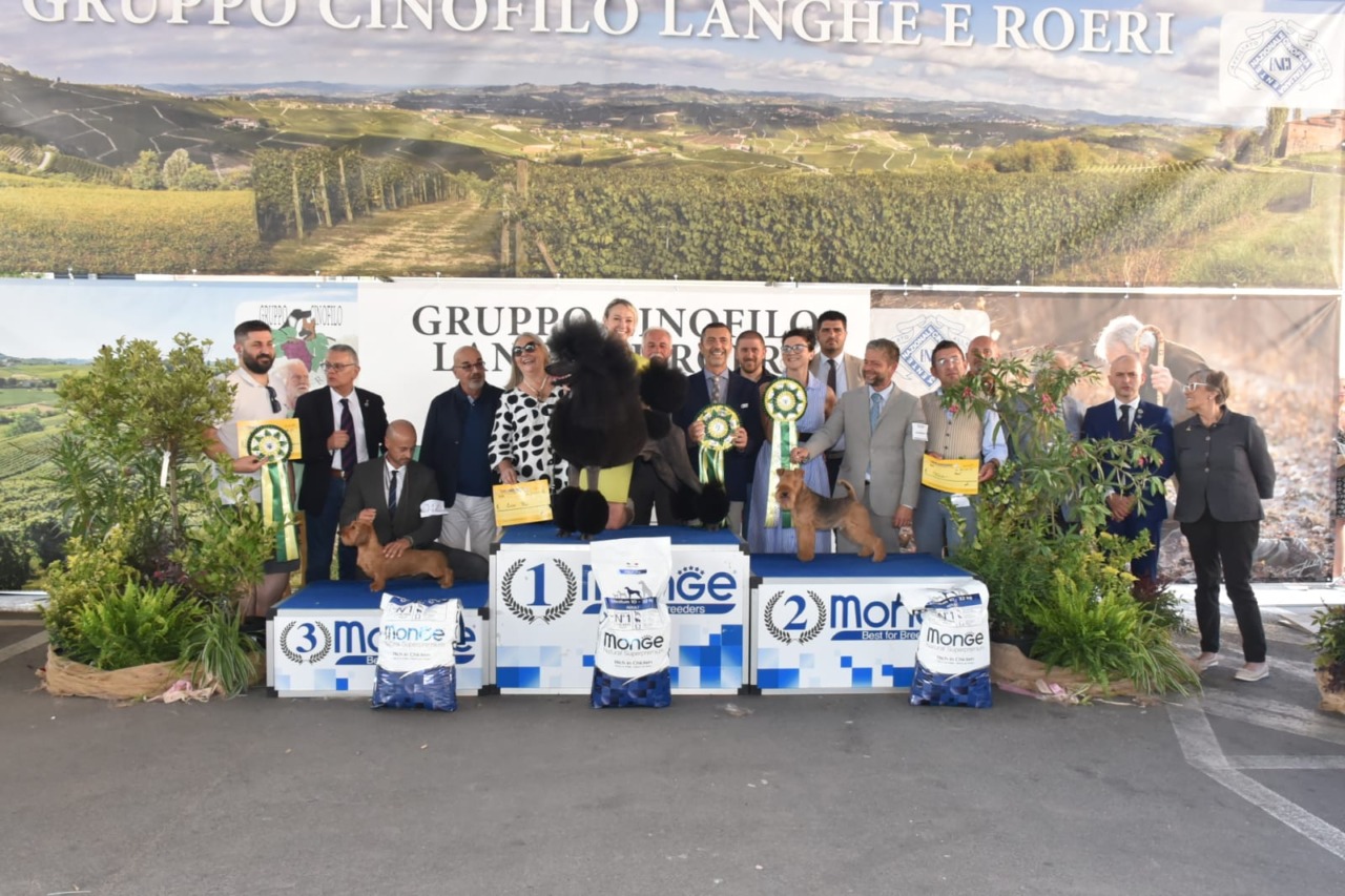 Bra, torna l’esposizione cinofila in piazza Giolitti: evento nazionale e internazionale