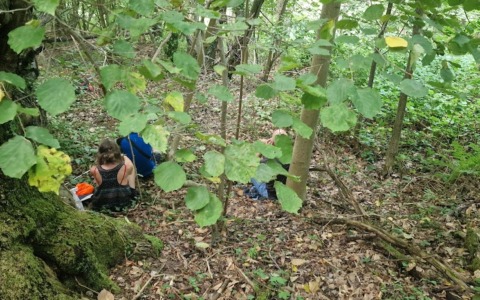 Ormea scopre il Bagno di Foresta: benessere e natura in Alta Val Tanaro