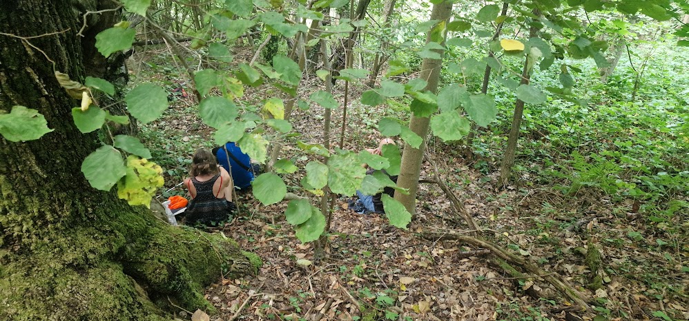Ormea scopre il Bagno di Foresta: benessere e natura in Alta Val Tanaro