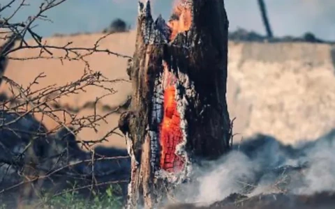 Una raccolta fondi per aiutare Franco Boveri dopo l’incendio