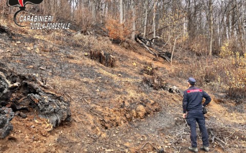 Incendi boschivi, le cause non sono solo naturali: 20 persone denunciate
